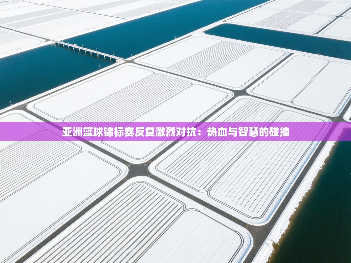 亚洲篮球锦标赛反复激烈对抗:热血与智慧的碰撞 第1张