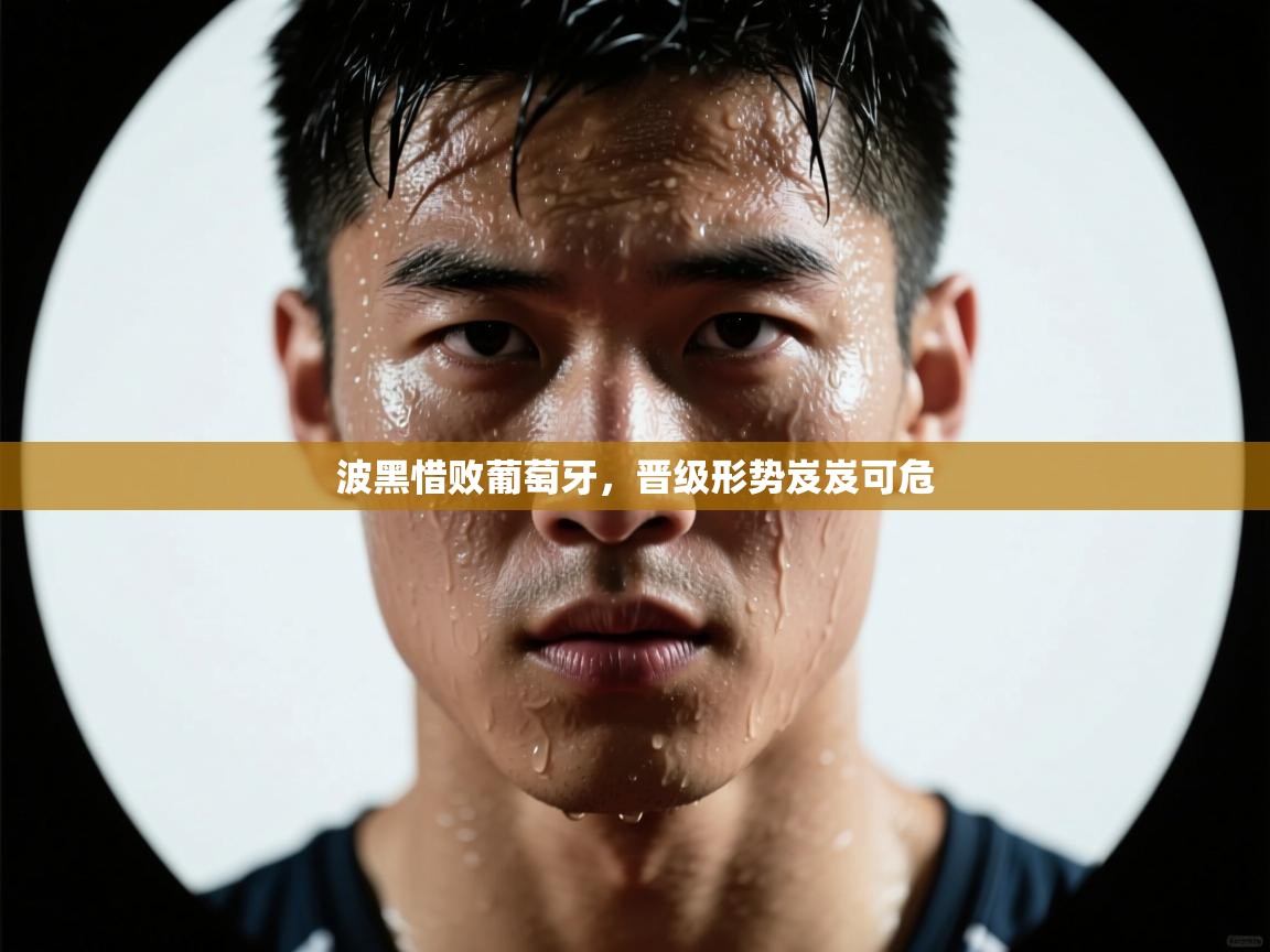波黑惜败葡萄牙,晋级形势岌岌可危 第1张