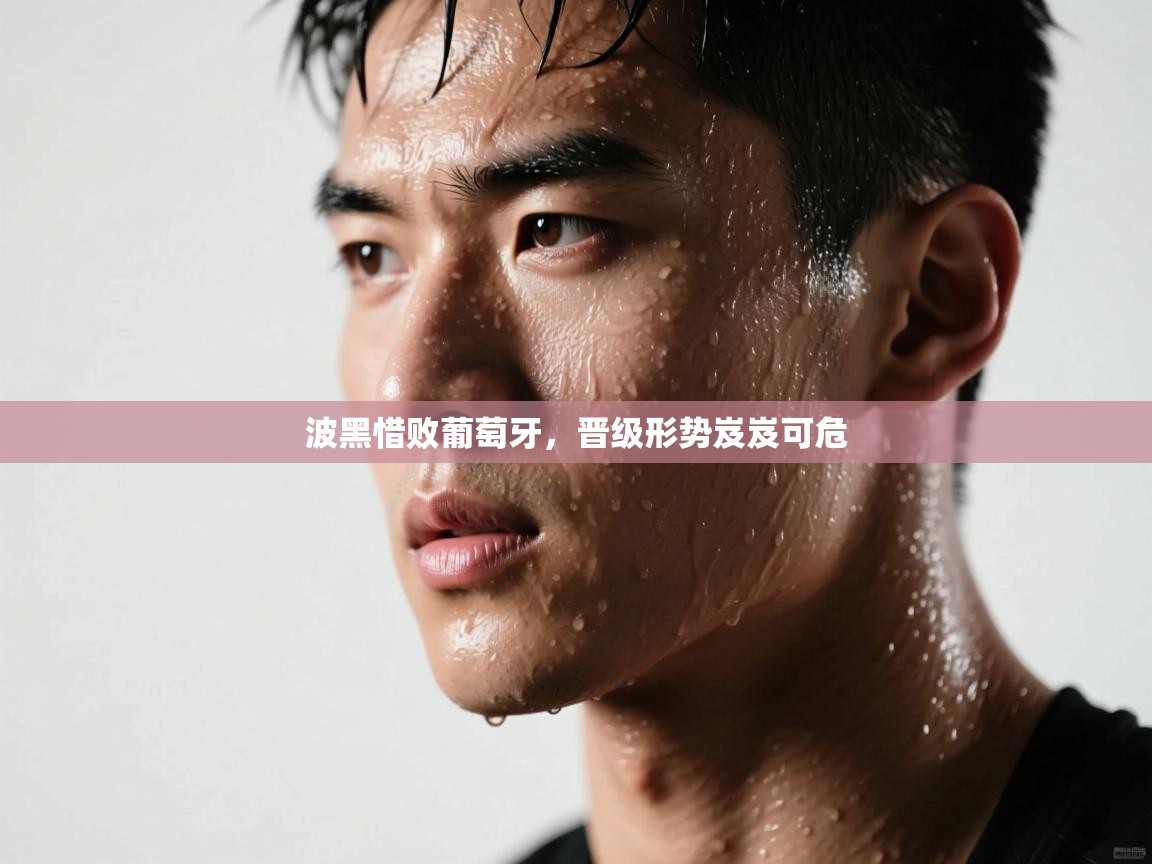 波黑惜败葡萄牙,晋级形势岌岌可危 第2张